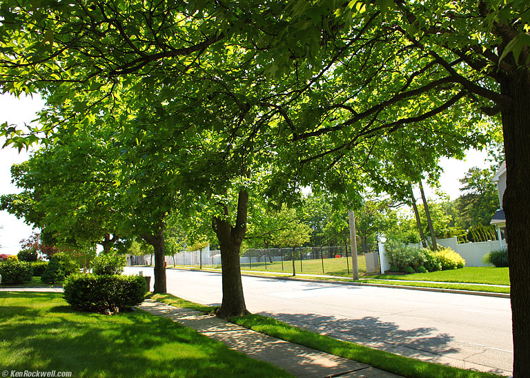 The Street