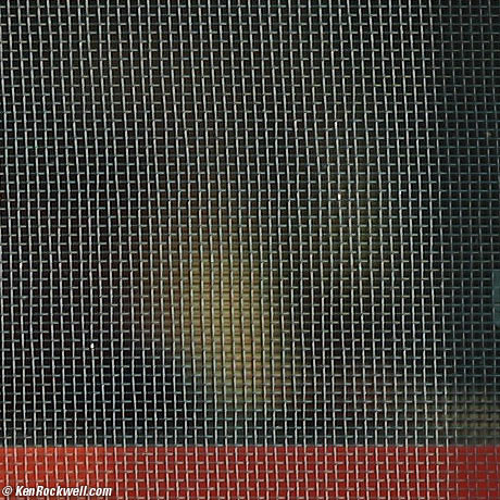 Screen