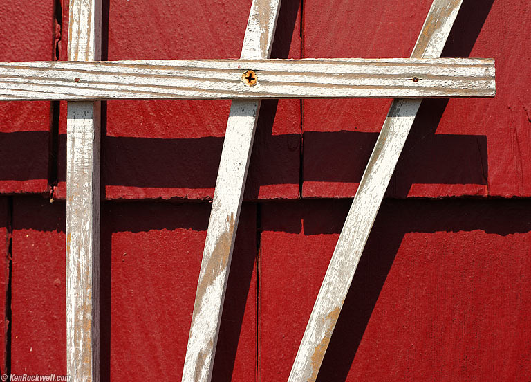 Trellis, Lobster Inn, Hampton Bays, Long Island, 3:08 PM.