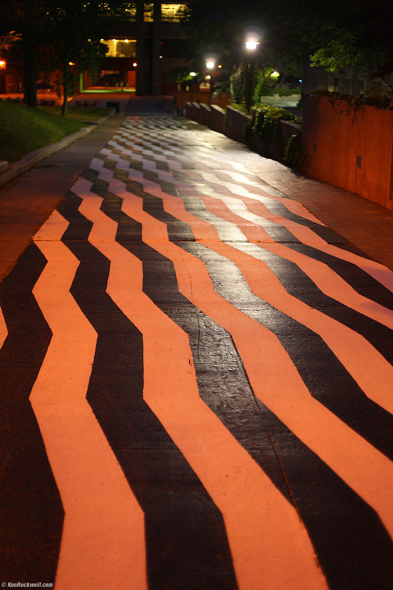 Zebra Steps, SUNY Stony Brook, Long Island, 8:42 PM.