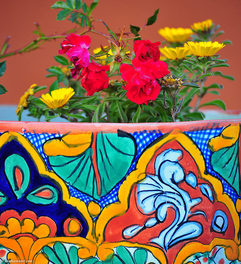Red Planter, Los Padres Inn, San Luis Obispo, California, 8:09 PM.