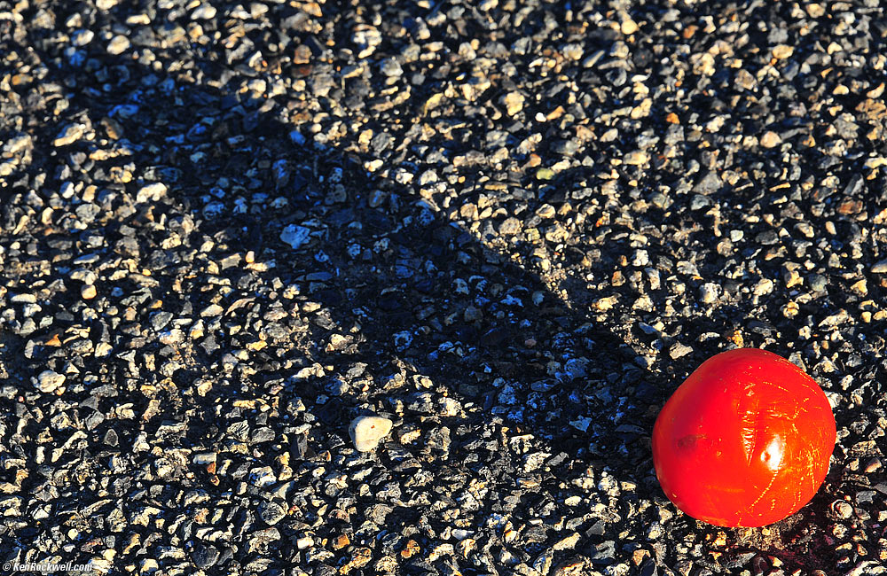 Tomato on Route 395