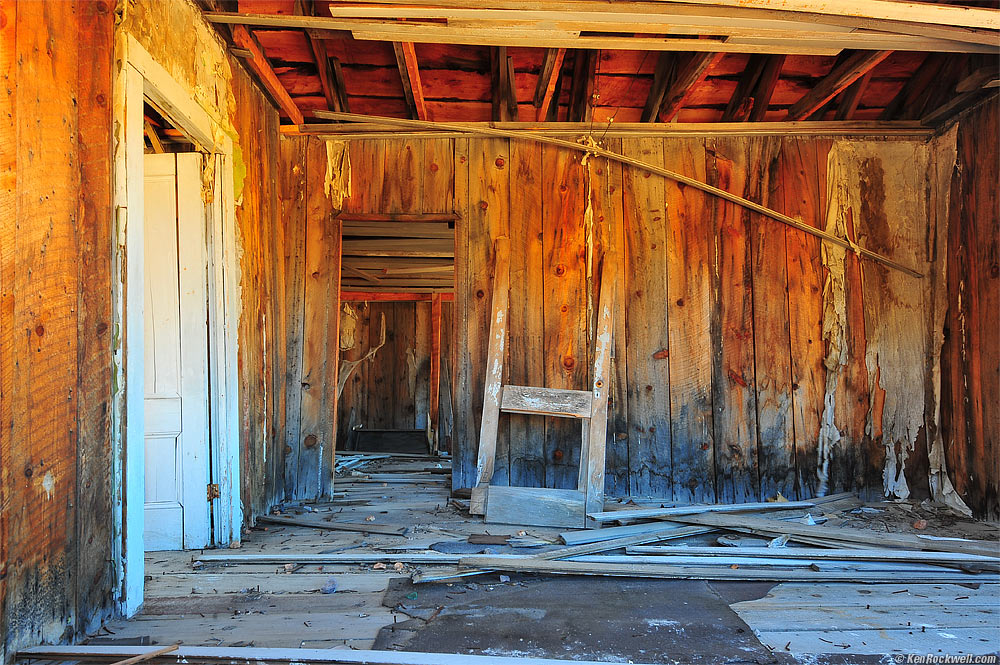 Bodie