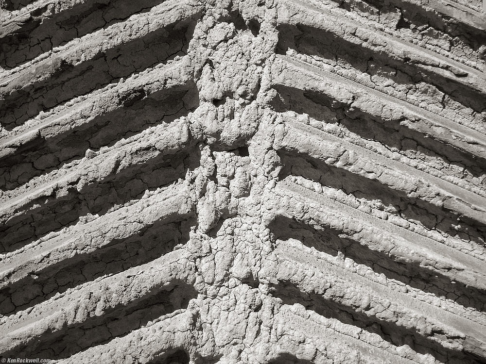 gear teeth, pisgah