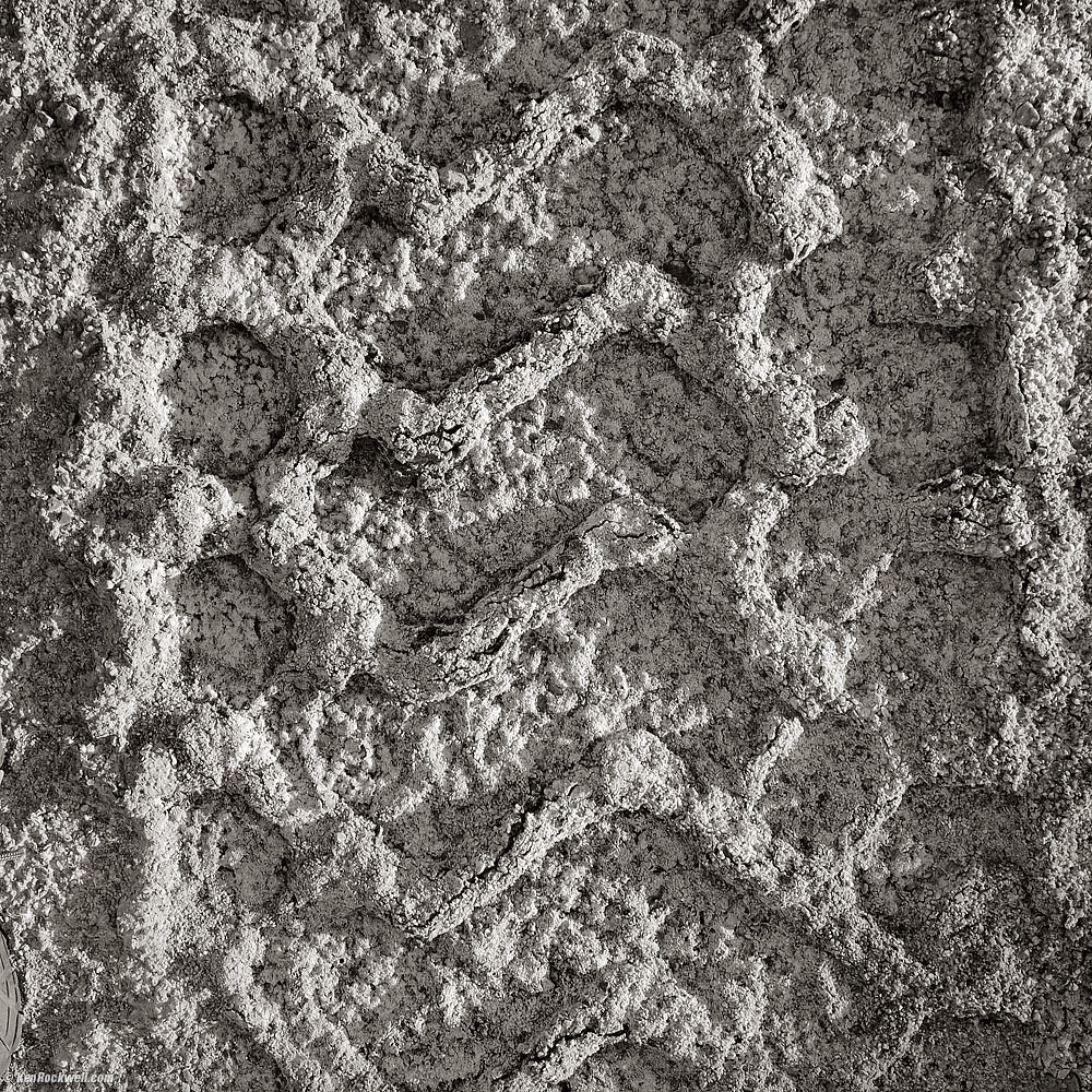 Tread in Salt