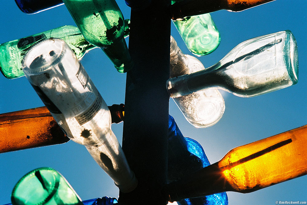 Bottles at bottle tree farm backlit by sunshine