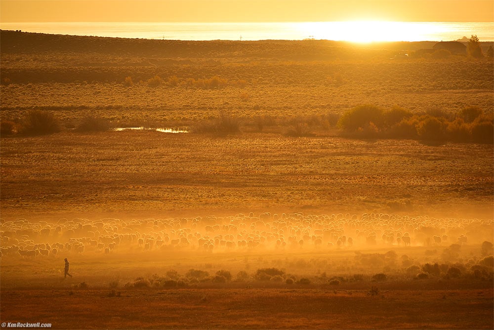 Sheepherder at Dawn Backlit by Sun, Mono Lake