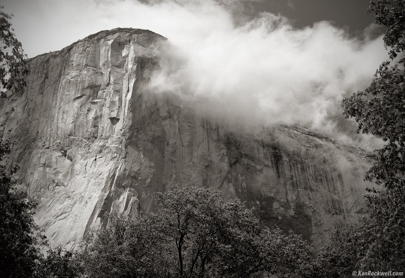 Fast Water in Yosemite Creek in Black and White