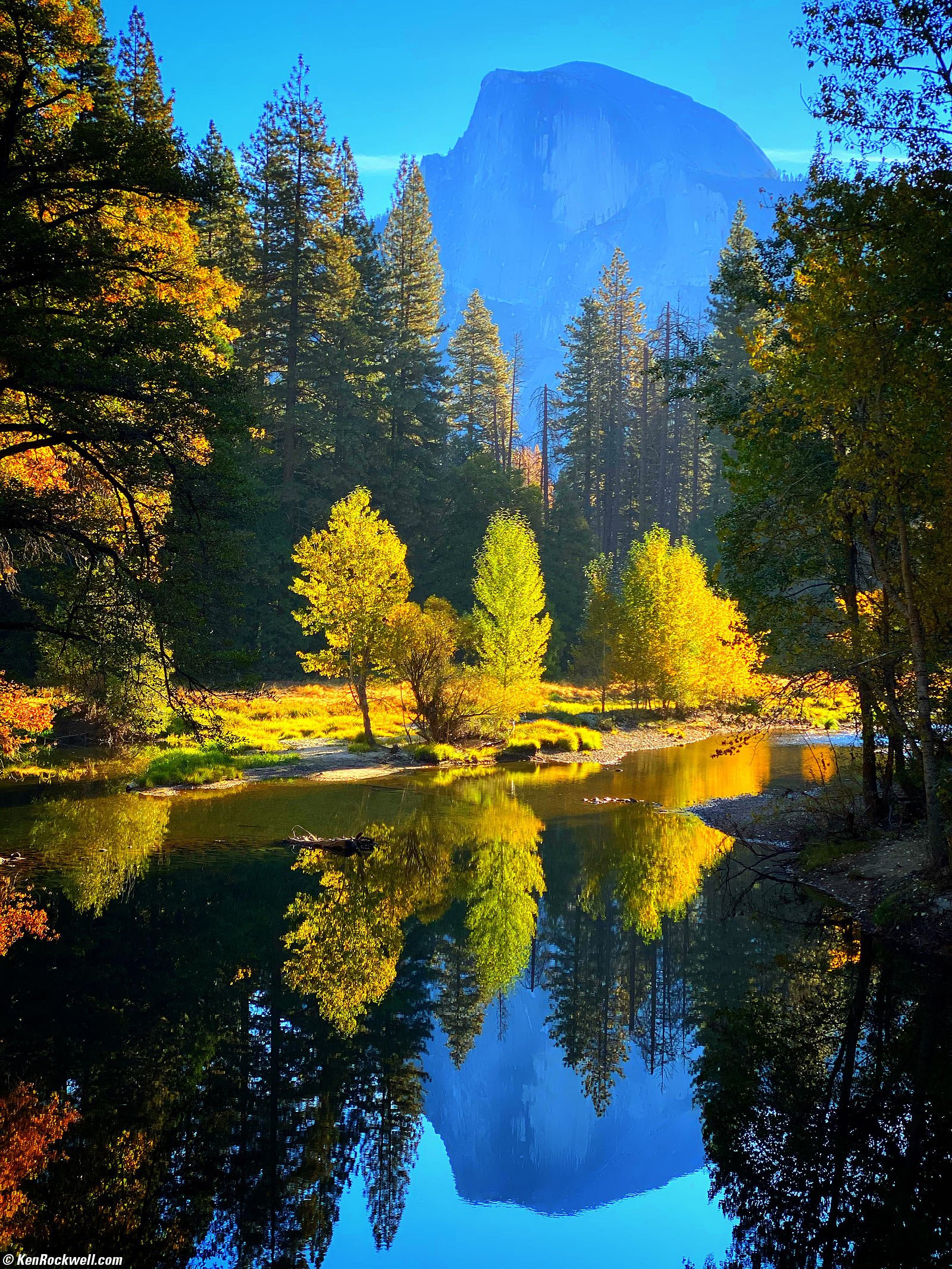 Side-Lit Yellow Trees with the Half Dome along the Banks of the Merced River, Yosemite Valley, Yosemite National Park, California