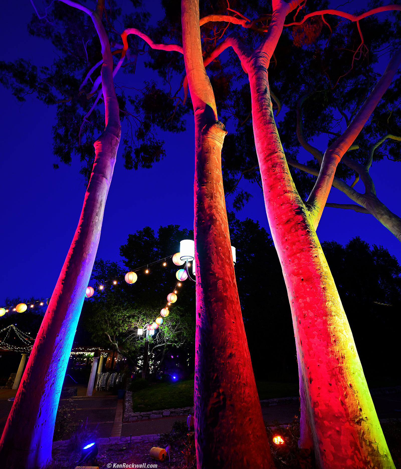 RAINBOW Trees, San Luis Obispo, California