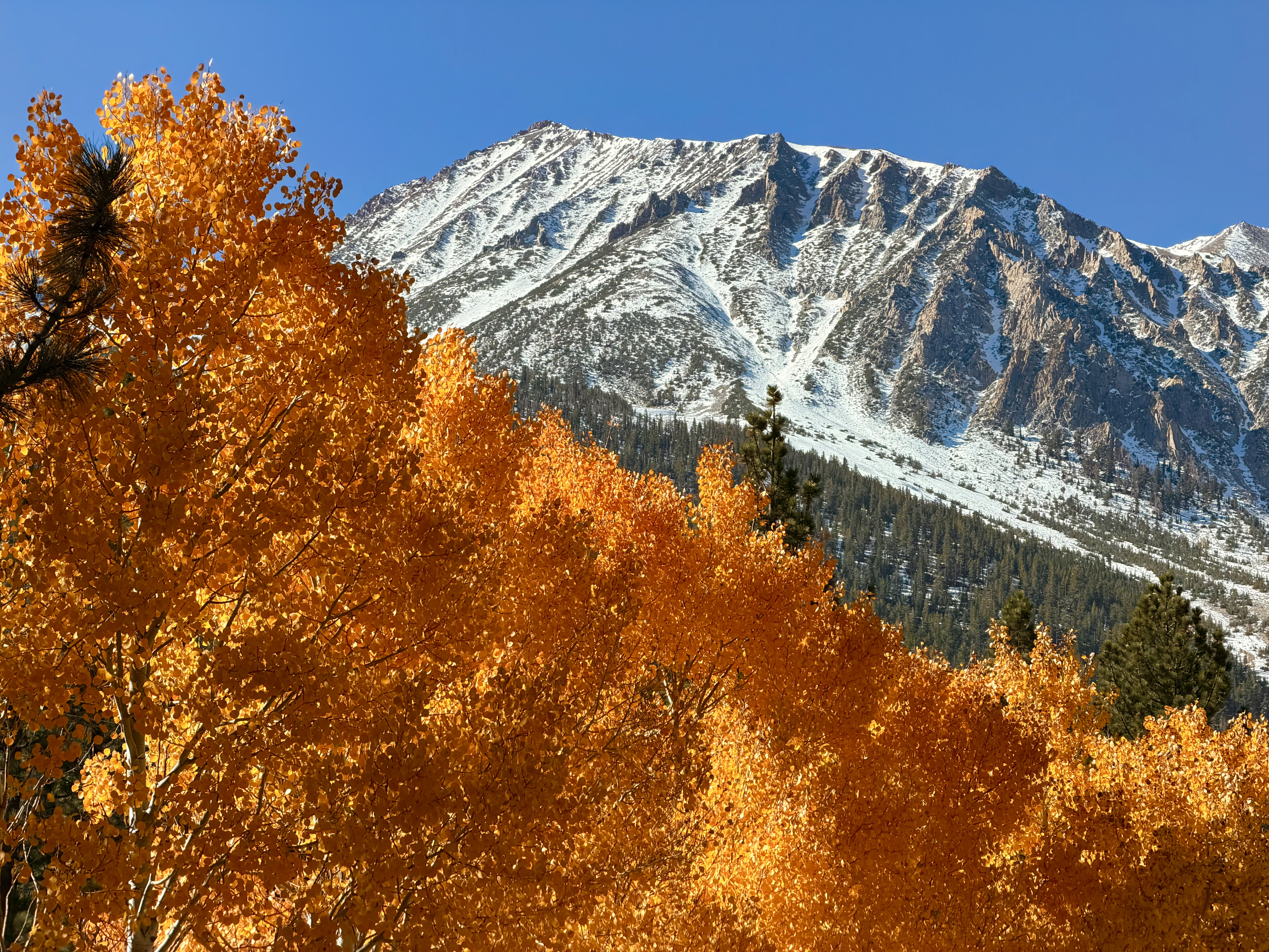 Fall Color From California's Eastern Sierra by Ken Rockwell, October 2025