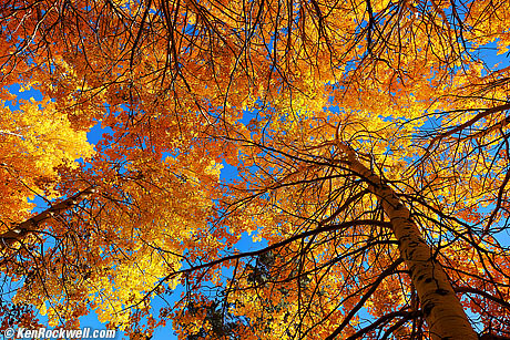 Eastern Sierra Fall 2025