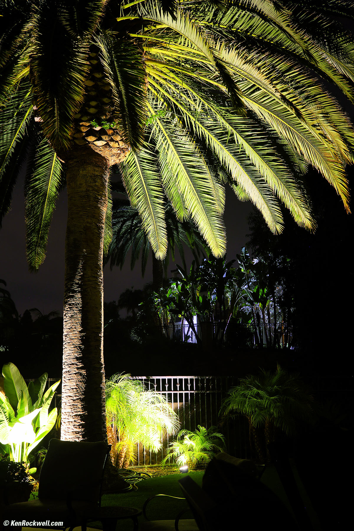 Zeiss Sonnar 50mm f/1.5 Sample Image File