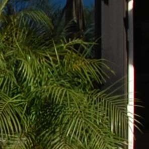 Nikon 10.5mm on D80 at 116%