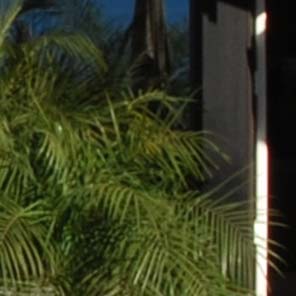 Nikon 10.5mm on D80 at 116%