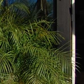 Nikon 10.5mm on D80 at 116%