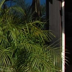 Nikon 10.5mm on D80 at 116%